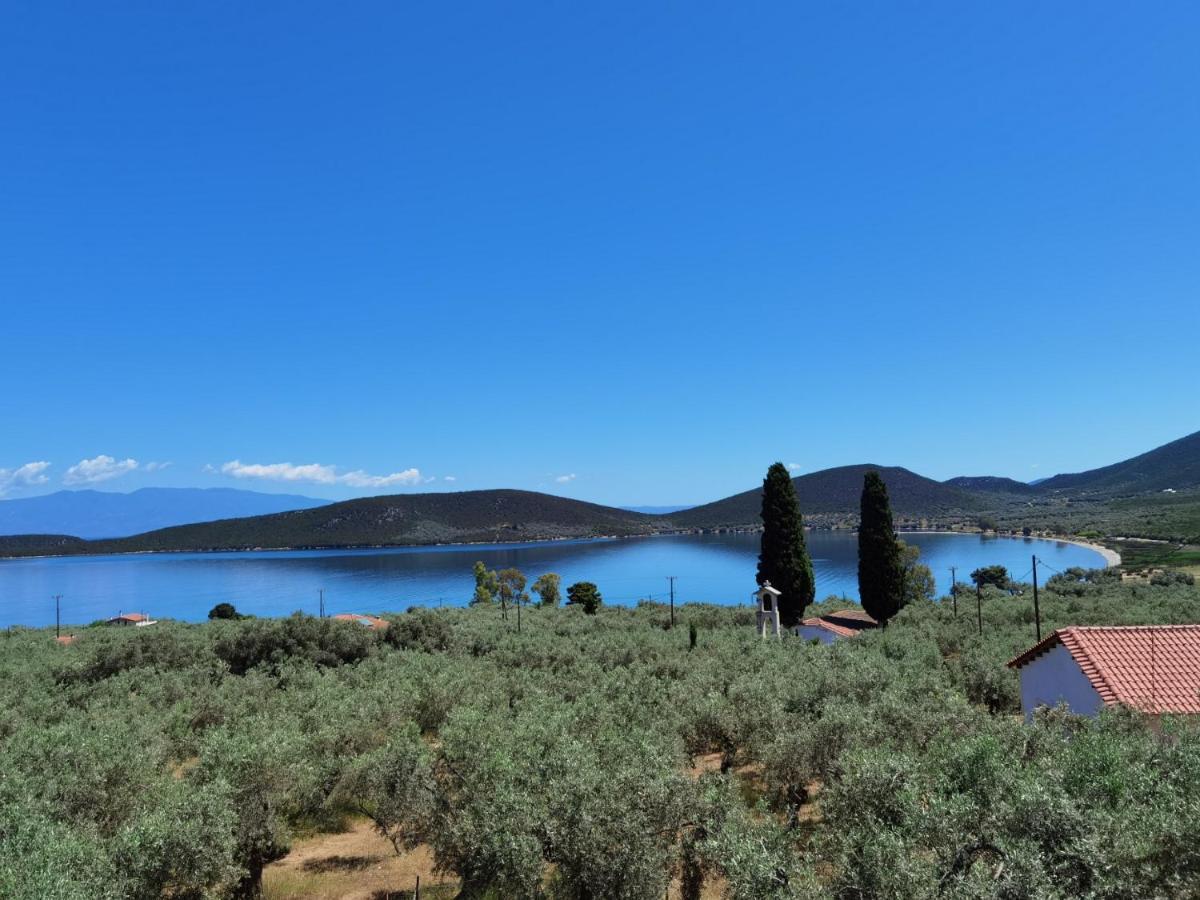 Elaion Thea2-Nies Villa Sourpi Dış mekan fotoğraf