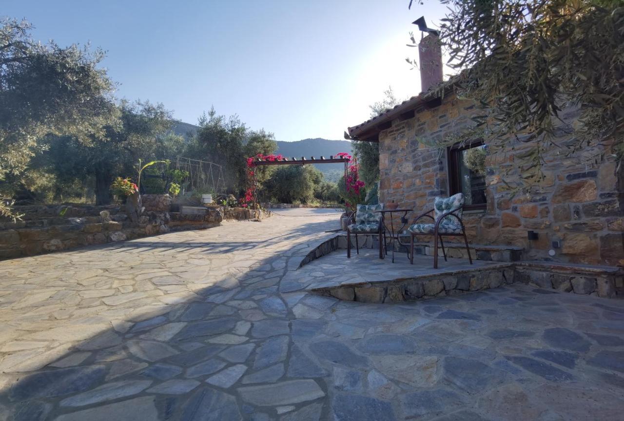 Elaion Thea2-Nies Villa Sourpi Dış mekan fotoğraf