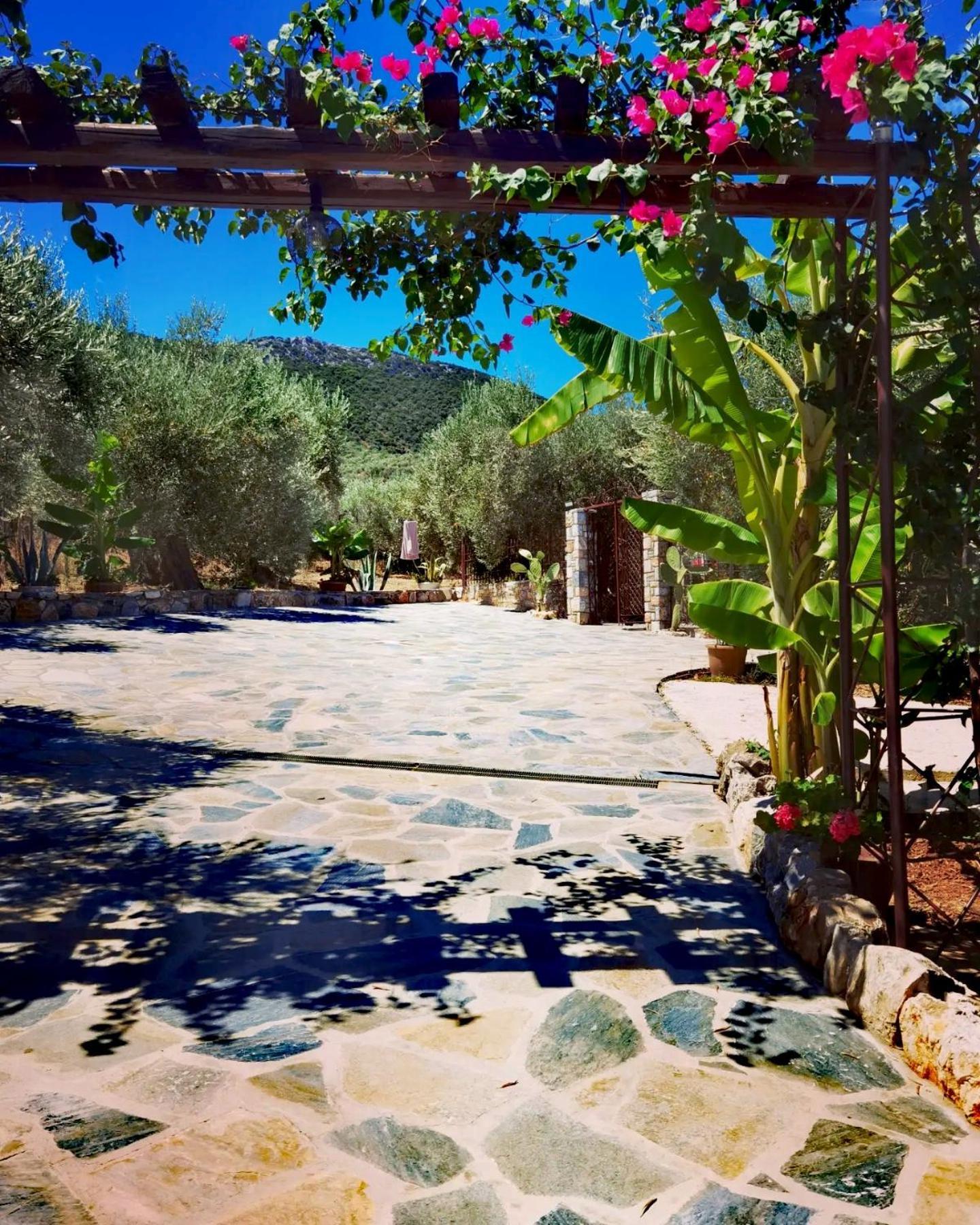 Elaion Thea2-Nies Villa Sourpi Dış mekan fotoğraf